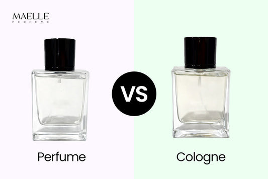 perfume and cologne difference guide