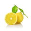 Bergamot