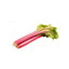 Rhubarb